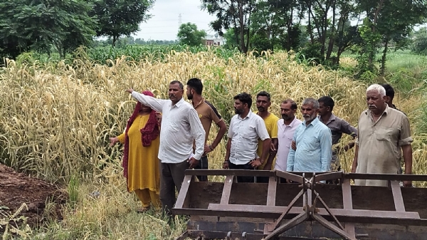 सूखे हुए चारे काे दिखाते हुए किसान््