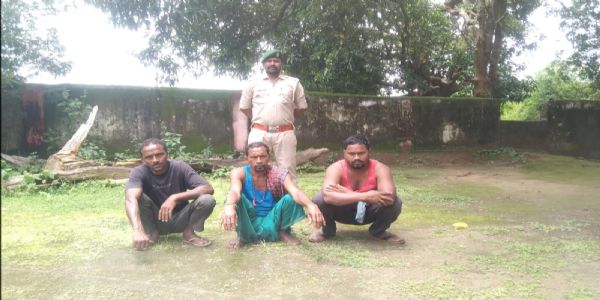 कोरबा में करंट की चपेट में आने हाथी की मौत, तीन किसान गिरफ्तार