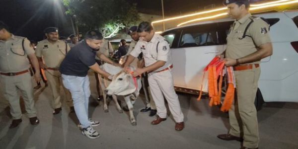 मवेशियों की सुरक्षा के लिए रेडियम पट्टी पहनाने रायगढ़ पुलिस का विशेष अभियान