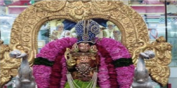 पुष्कर के दोनों रंगजी मंदिरों में झूला महोत्सव की भव्यता, उमड़ रही श्रद्धालुओं की भीड़