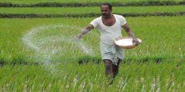 रायपुर : छत्तीसगढ़ में रासायनिक खाद पर्याप्त मात्रा में उपलब्ध