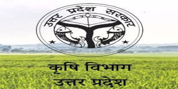 तिलहन उत्पादन को मिलेगा बढ़ावा, किसानों को मिलेगा मुफ्त तोरिया बीज मिनीकिट