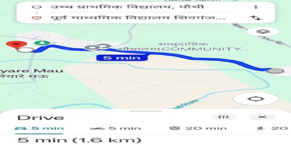 विद्यालय मर्ज को लेकर फर्जी रिपोर्टिंग का आरोप