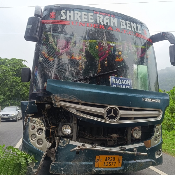 बस के चपेट में आने से एक जंगली भैंस की मौत