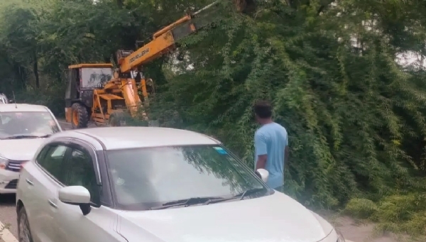 पानीपत NH-709 राजमार्ग गिरे पेड़ को हटाती मशीन