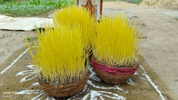 कजलिया