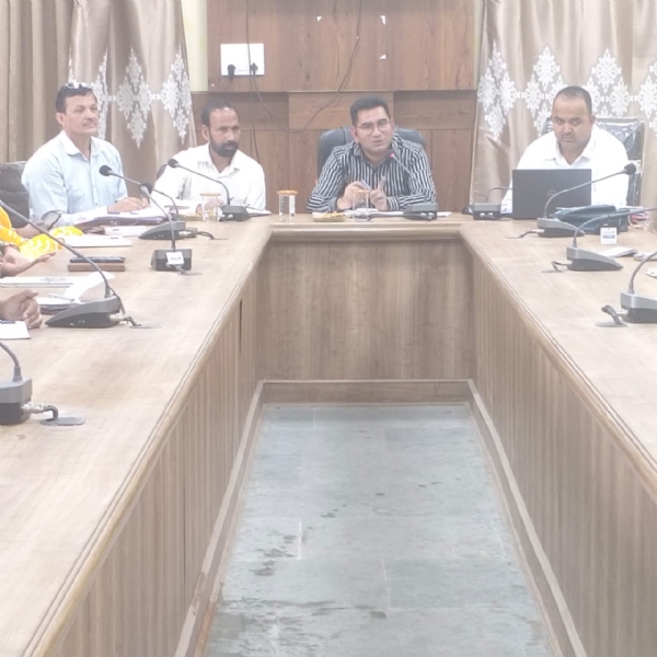 बैठक की अध्यक्षता करते हुए जिला ग्रामीण विकास अधिकारी मंडी गोपी चंद पाठक।