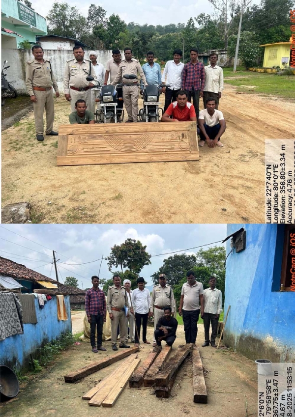 Seoni: Four arrested while doing illegal transportation, forest crime registered