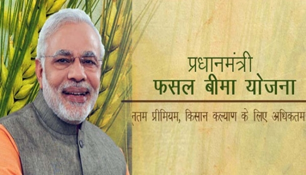 प्रधानमंत्री फसल बीमा योजना (प्रतीकात्मक तस्वीर)