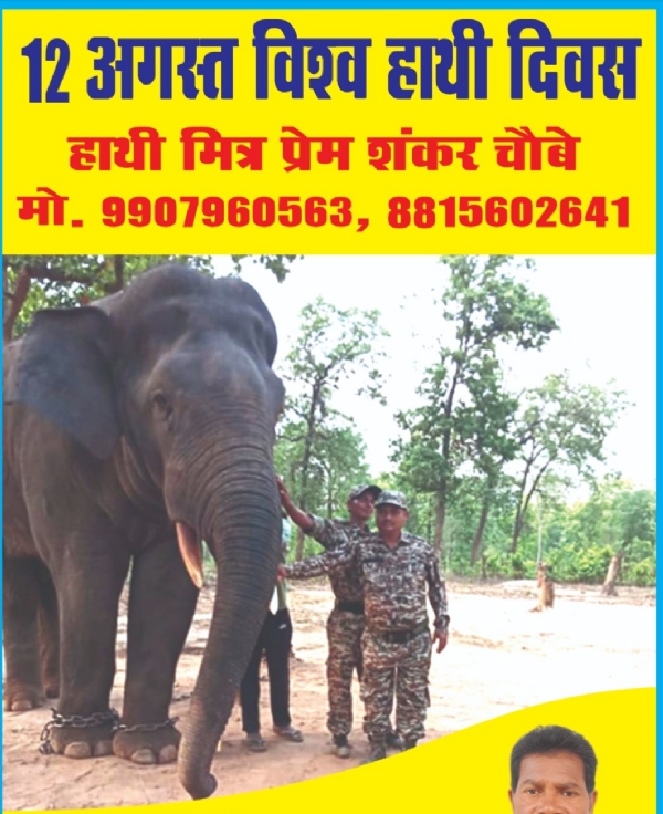 हाथी के साथ खड़े हुए प्रेमशंकर चौबे।