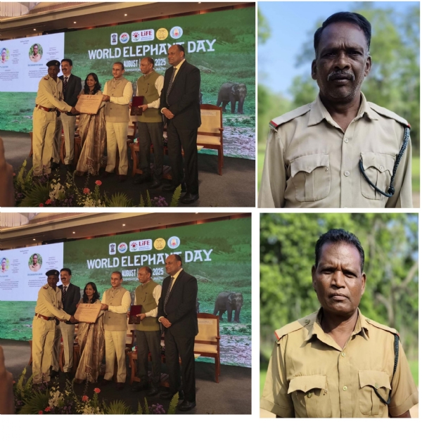 Seoni: Keshu Walke and Sahadan Lakra of Pench National Park honored with Gaj Gaurav Award in Coimbatore