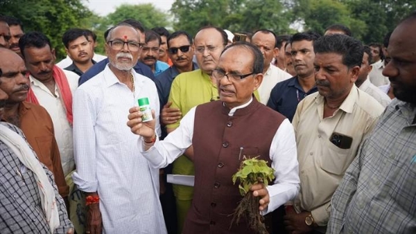 शिवराज सिंह ने क्षतिग्रस्त सोयाबीन फसल का खेत में पहुंचकर निरीक्षण करते हुए