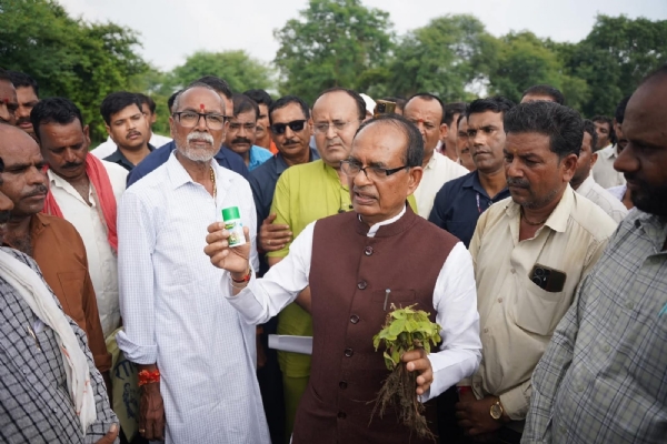 कृषि मंत्री एवं सांसद शिवराज सिंह चौहान