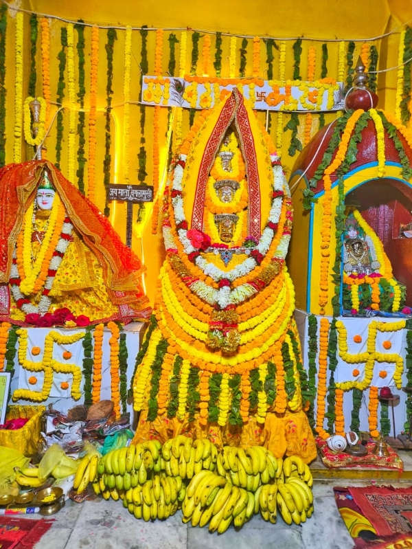 मंदिर में विराजमान माता बगलामुखी का रथ।