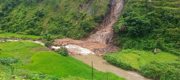 पाबो के चेड़ में बारिश से फसलों को हुआ नुकसान