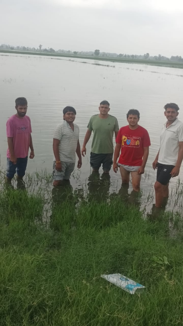 बराड़ खेड़ा गांव में हुए जलभराव को दिखाते हुए किसान।