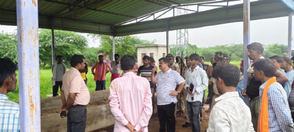 सड़क किनारे बैठे गौवंशों को अज्ञात वाहन ने कुचला, दो गायों की मौत