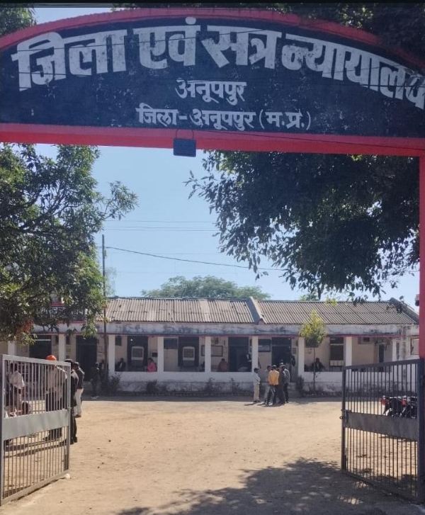 फाईल फाेटाे