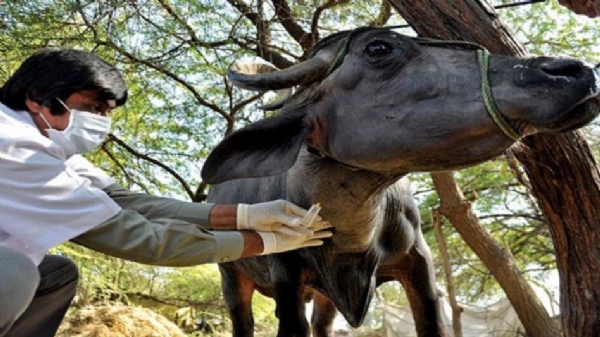 मोबाईल वैटरनरी यूनिट और कॉल सेंटर सेवाओं को अत्यावश्यक घोषित किया