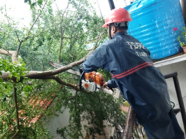 Tmc disaster management struggling in torrential rain