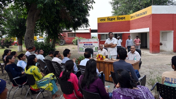 गाजर घास के बारे में जानकारी देते अनुसंधान निदेशक व अन्य वैज्ञानिक।