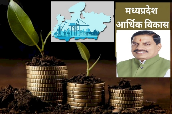 मध्‍य प्रदेश का आर्थ‍िक विकास
