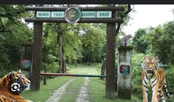 Valmiki