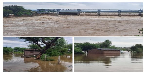 Thousands of cusecs of water released from Ranjit Sagar Dam after 37 years, many areas adjoining Ravi submerged, people migrated