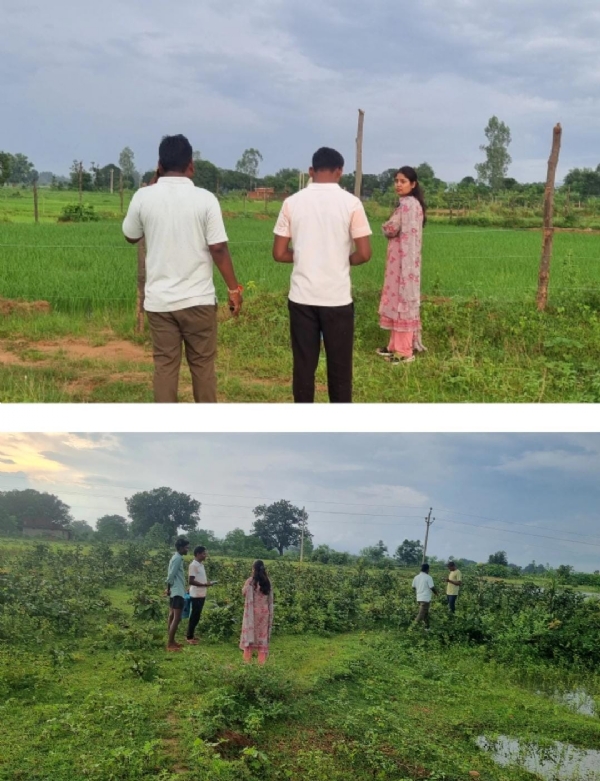 राजस्व