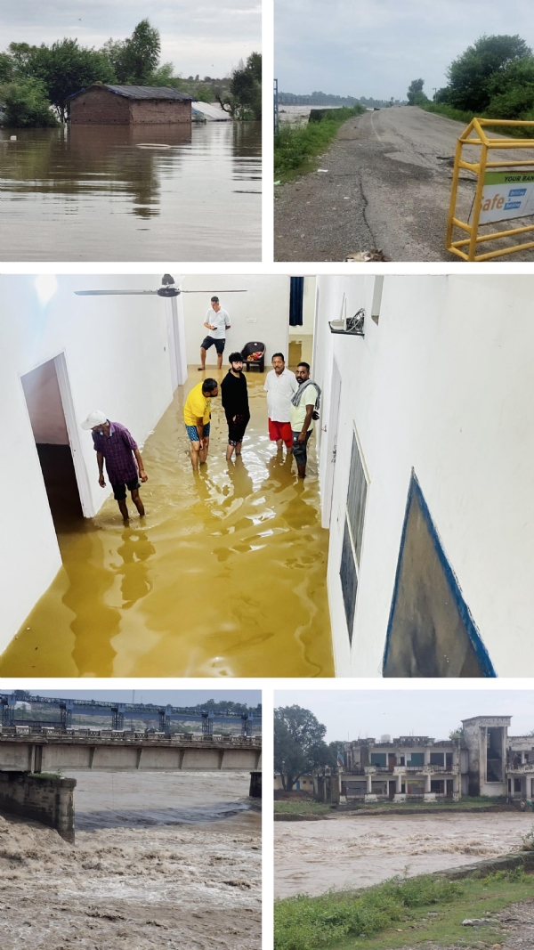 Due to non-opening of the gates of the barrage of Punjab Irrigation Department, Lakhanpur got submerged, government building and a bridge got damaged, loss of crores