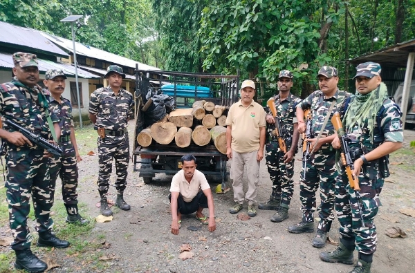 असमः एसएसबी की 24वीं बटालियन द्वारा अवैध लकड़ी के साथ गिरफ्तार व्यक्ति
