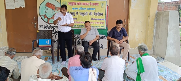 वर्षा ऋतु में पशुओं को सूखा हवादार और साफ सुथरा पशुशाला में रखना जरूरी