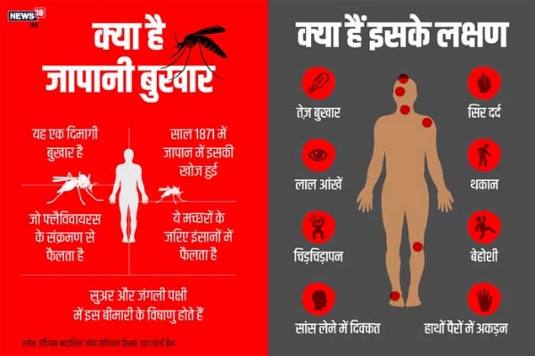 जापानी बुखार (जापानी एन्सेफलाइटिस)