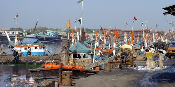 समुद्री मछली के उत्पादन में गुजरात देश में दूसरे स्थान पर