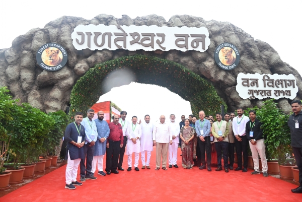 गळतेश्वर वन