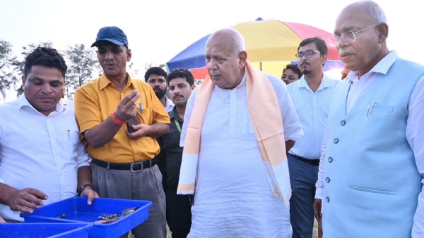 मखाना की खेती