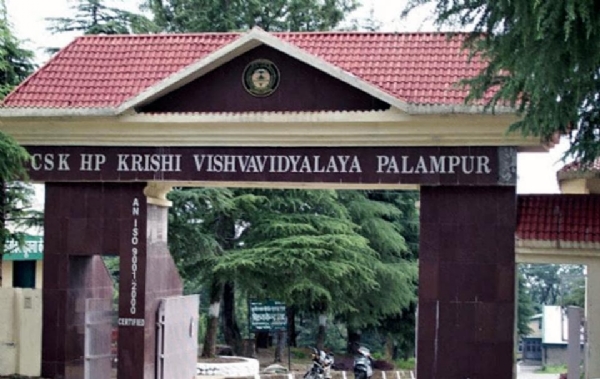 कृषि विश्वविद्यालय पालमपुर।