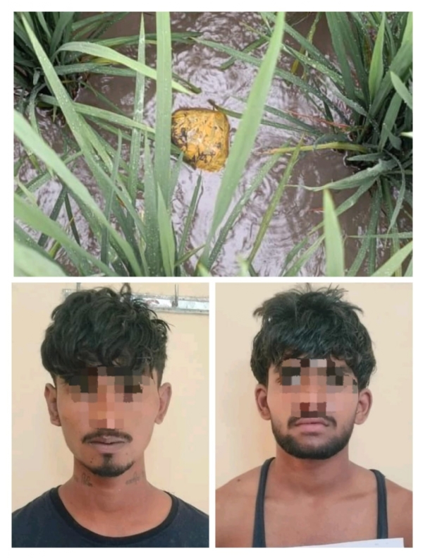 बीएसएफ