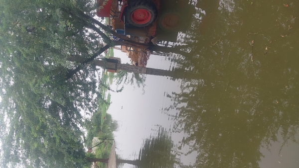 गांव माजरा के खेतों में ही नहीं आबादी में भी पहुंचा बारिश का पानी।