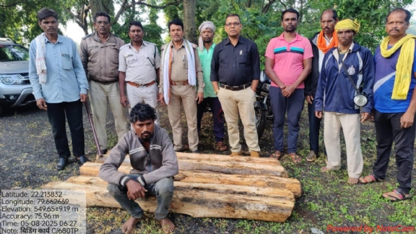 Seoni: 05 pieces of illegal teak logs 0.154 cubic meters seized, one arrested, three absconding