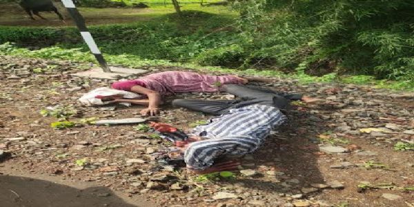 मंदसौर : घोड़ारोज की टक्कर से दंपत्ति गंभीर घायल, अहमदाबाद रेफर