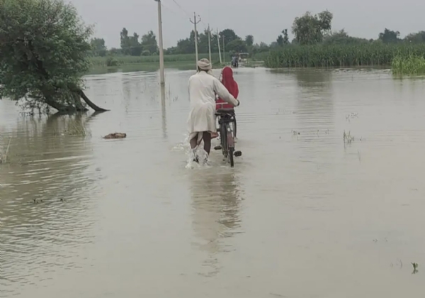 फोटो