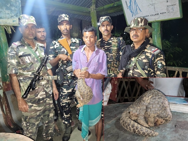 असमः भारत-भूटान सीमावर्ती इलाके से दुर्लभ वन्यजीव पेंगोलिन के साथ गिरफ्तार व्यक्ति