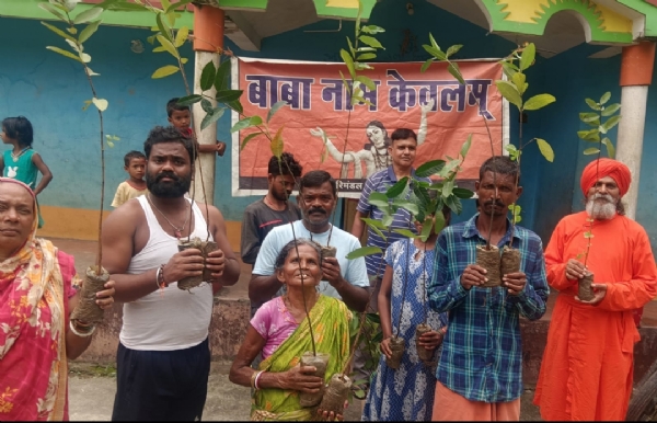 पौधा वितरण