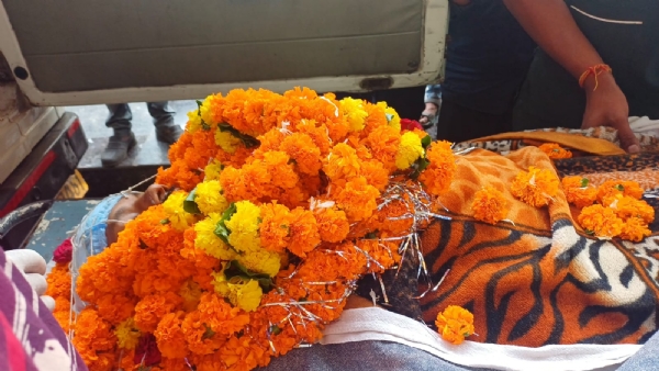 तीन को मिली नई जिंदगी..ग्रीन कॉरीडोर से भेजे गए हार्ट, किडनी और लिवर
