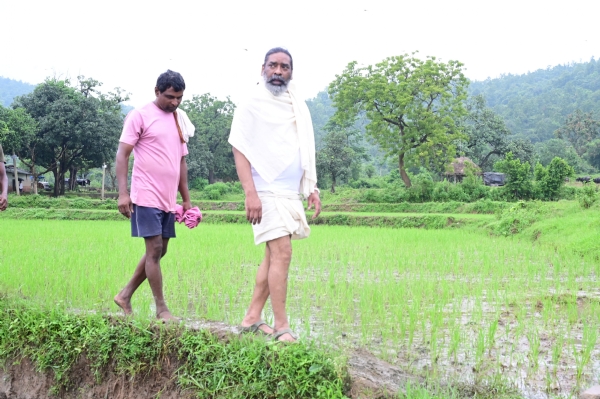 मुख्यमंत्री  खेत