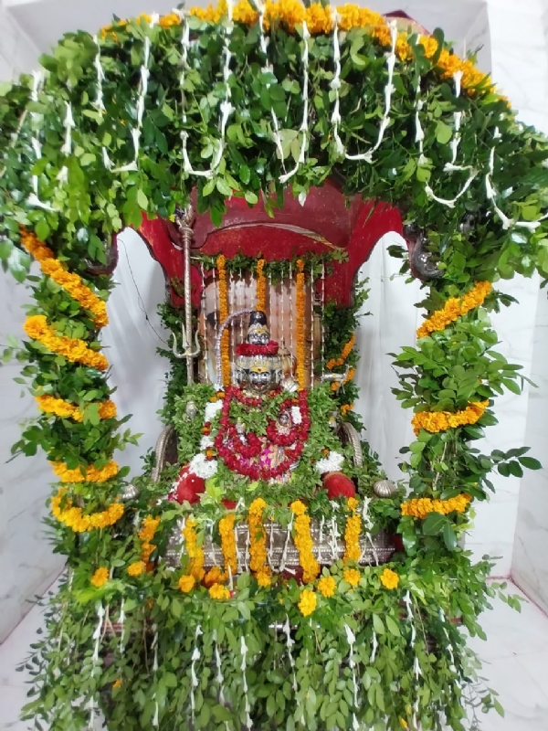बाबा विश्वनाथ की चल प्रतिमा का हरियाली झूलनोत्सव श्रृंगार