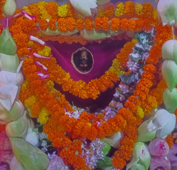 गडबडा धाम में सजी मां शीतला की झांकी।