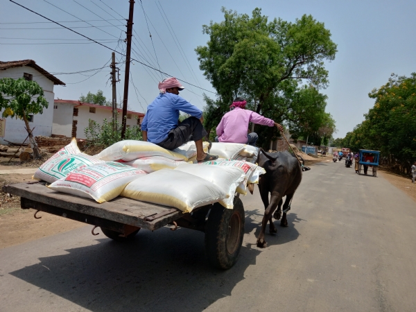 साेसाइटी से खाद ले जाता हुआ किसान।