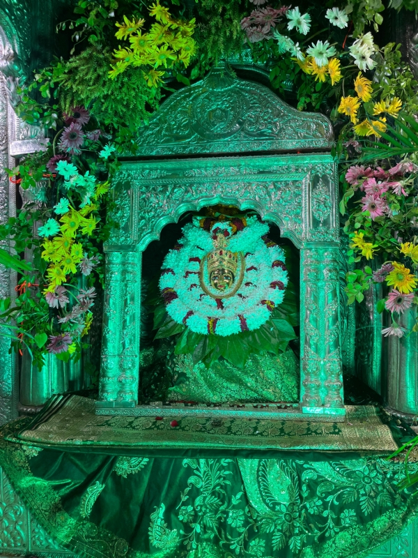 मां अन्नपूर्णा का हरियाली श्रृंगार